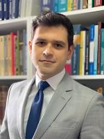 Exmo. Dr. Pedro Rebello Bortolini