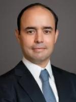 Marcelo Lamego Carpenter