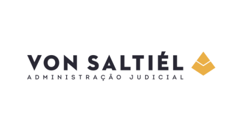Logo Von Saltiel