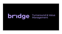 Bridge - Turnaround & Value Management LTDA