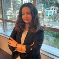 Raquel Moraes Vedovello Dias, Advogada Advocacia De Luizi